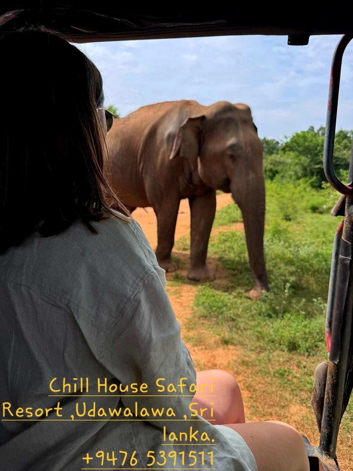 Chill House Safari Resort Udawalawe Dış mekan fotoğraf